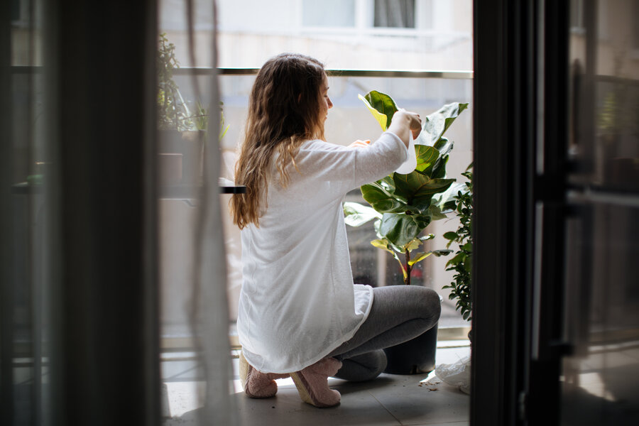 Frau Pflanze Balkon