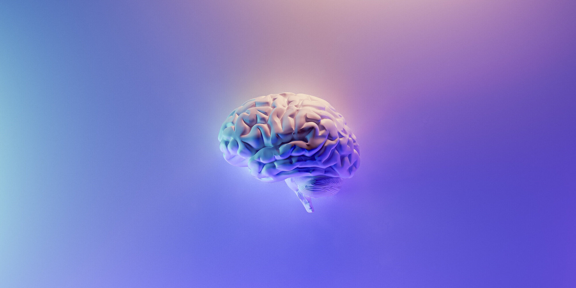 Symbolbild Gehirn / Künstliche Intelligenz