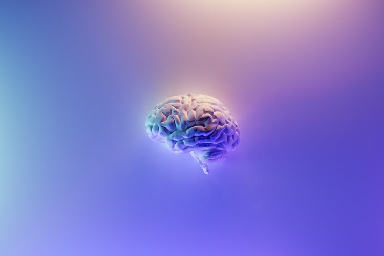 Symbolbild Gehirn / Künstliche Intelligenz