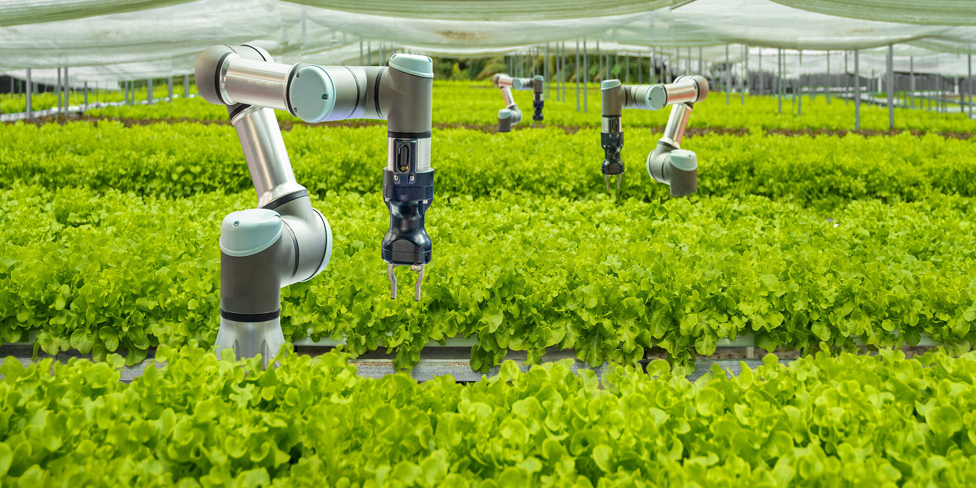 Smart farm and Automatic robot mechanical arm harvesting vegetables