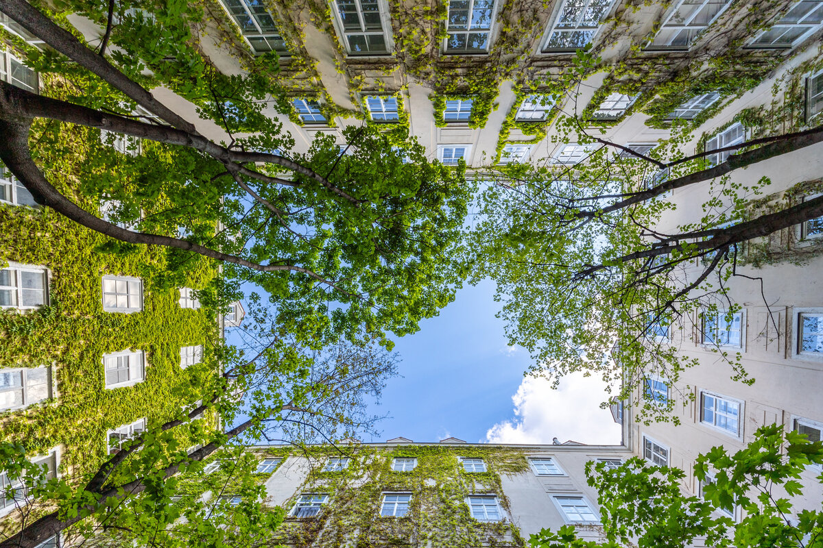 Greenium Examples Untersuchung zu Renditedifferenz (Greenium) im CHF-Obligationenmarkt