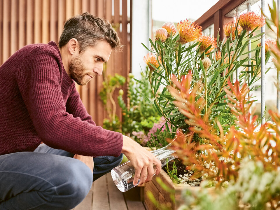 Themenbild Immobilien und Grundstückgewinnsteuer