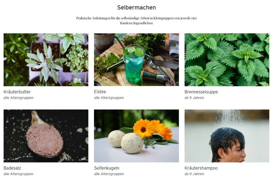 Botanischer Garten Grüningen - Website 1