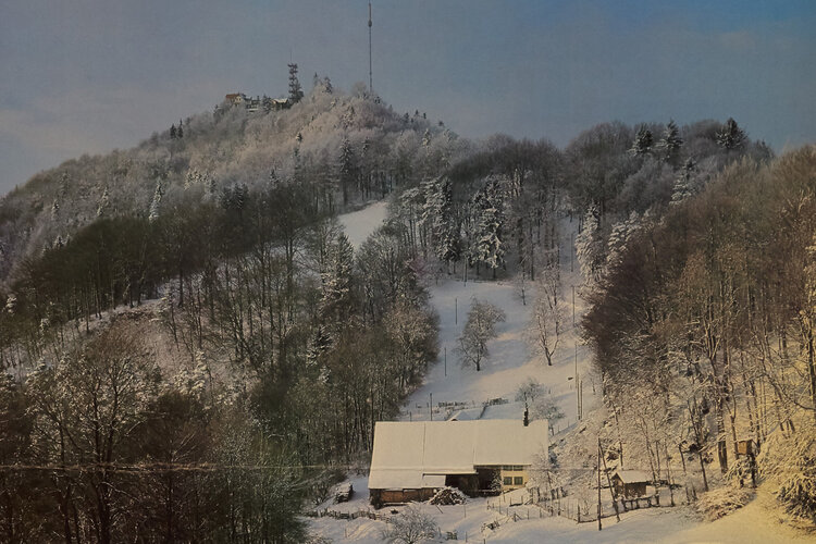Winterwandern