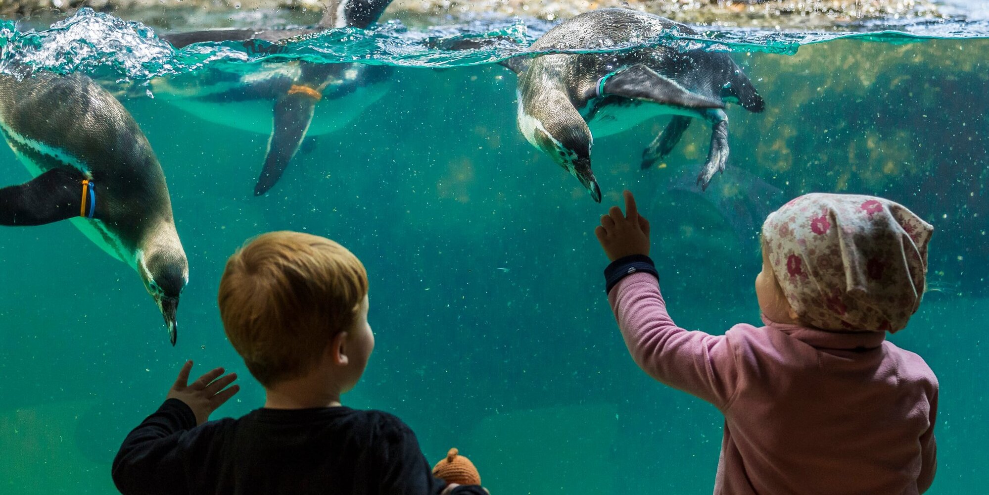 Zoo Zürich, Kinder mit Pinguinen