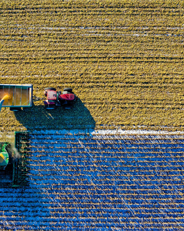 Landwirtschaftliche Maschinen auf einem Feld