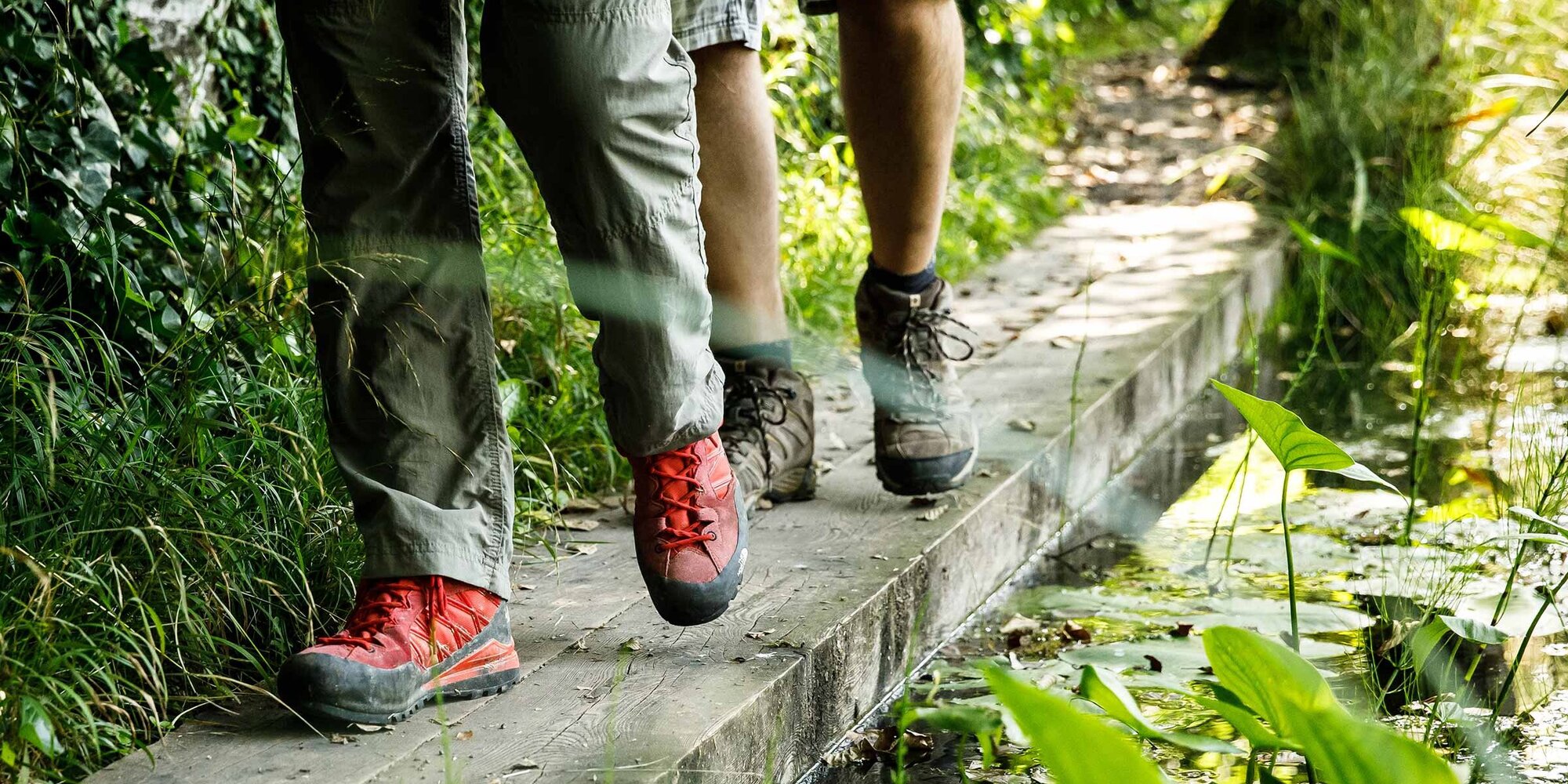 Wanderer laufen über einen schmalen Stamm