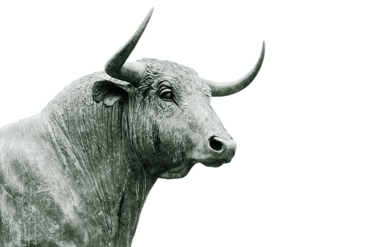 Der Bulle verkörpert an der Börse den Optimismus. Er kauft in der Hoffnung auf Aufschwung..