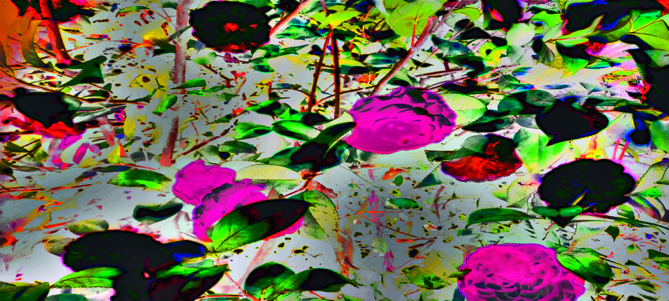 Annelies Štrba, Tsukikawa 034, 2018, Pigmentdruck auf Leinwand, Bildmasse: 90 × 200 × 2 cm, ausgestellt in der Filiale Richterswil.