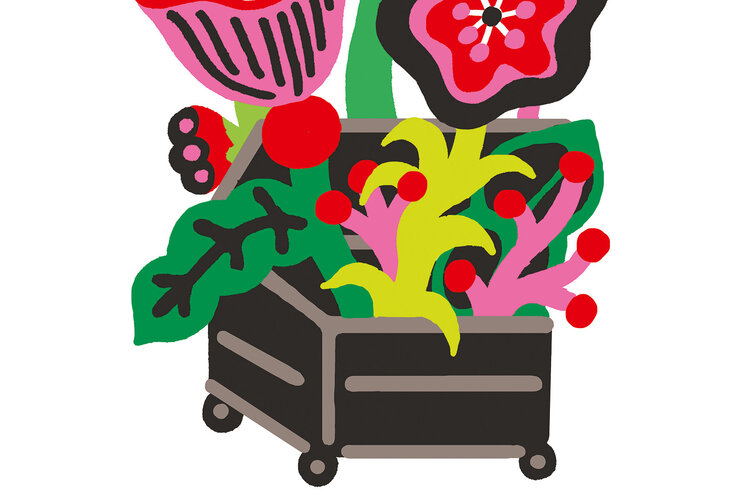 Illustration zu Oecogreen