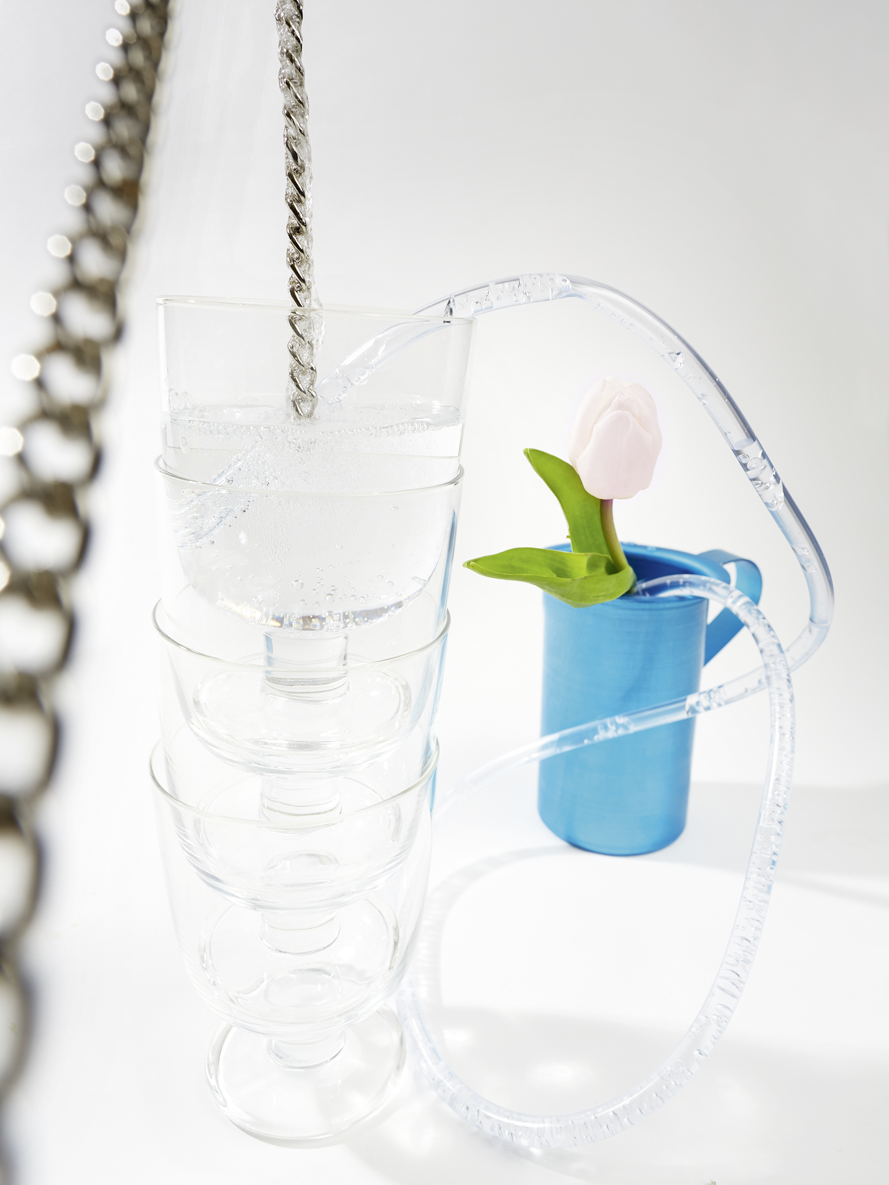 Carte Blanche für Anja WilleSchori