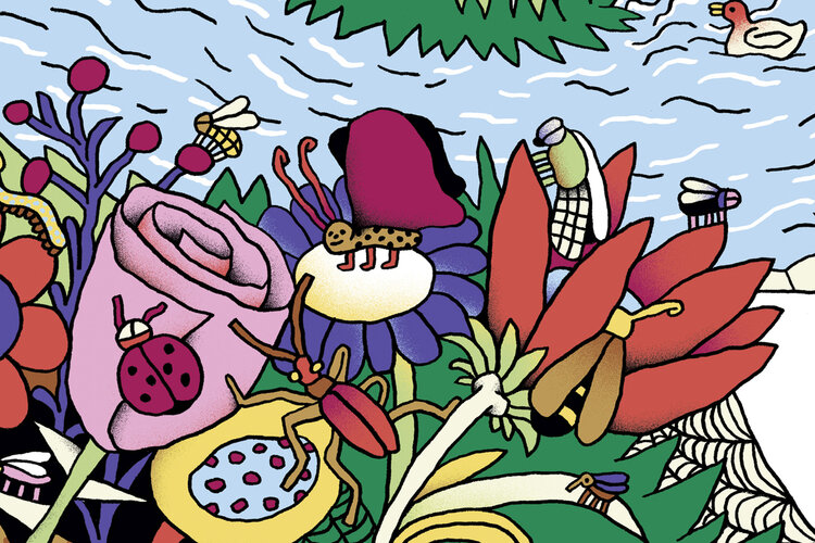 Illustration zur Jubiläumsdividende (Insektengarten)
