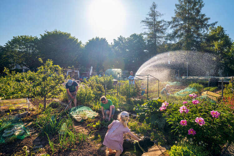 Familiengarten, Dübendorf