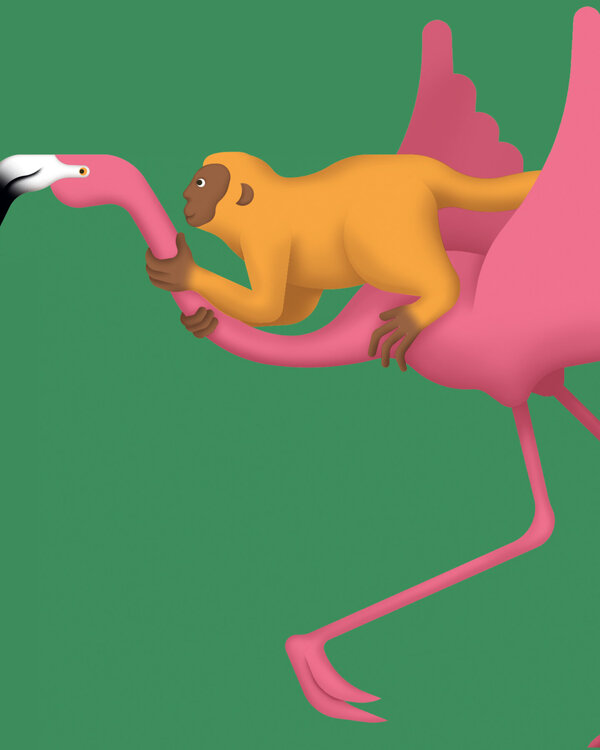 Illustration Zoo: Flamingo und Äffchen