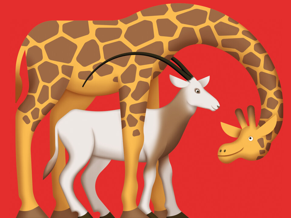 Illustration Zoo: Giraffe und Antilope
