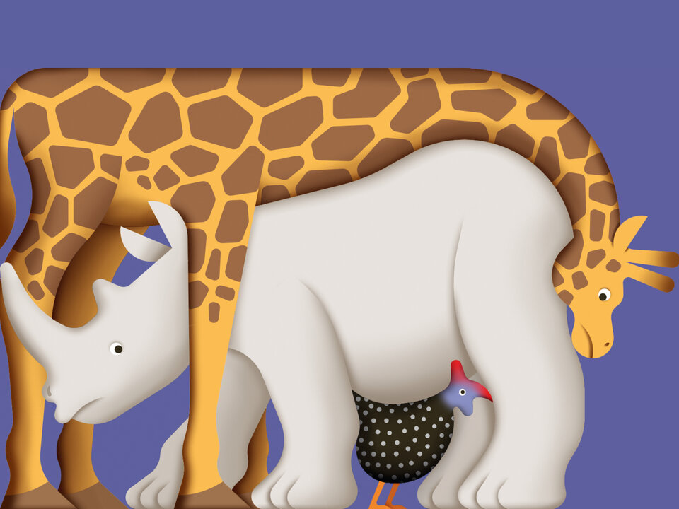 Illustration Zoo: Giraffe, Nashorn und Huhn