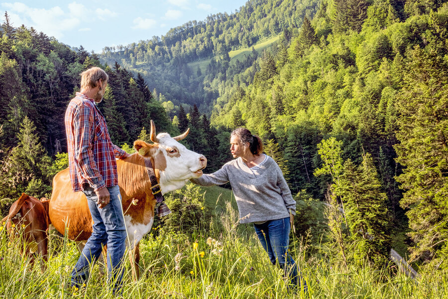 Jörg und Tamara Stoller auf einem Feld mit einer Kuh