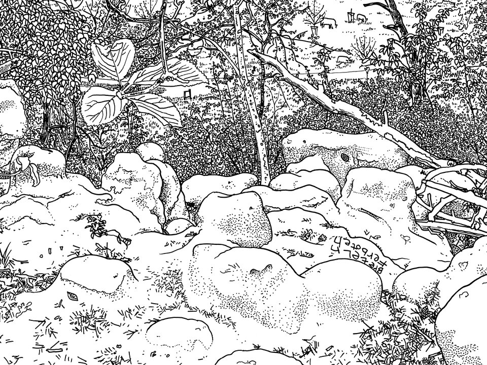 Illustration zum Wettbewerb ZH 02-2023