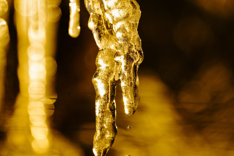 Eiszapfen im goldenen Licht