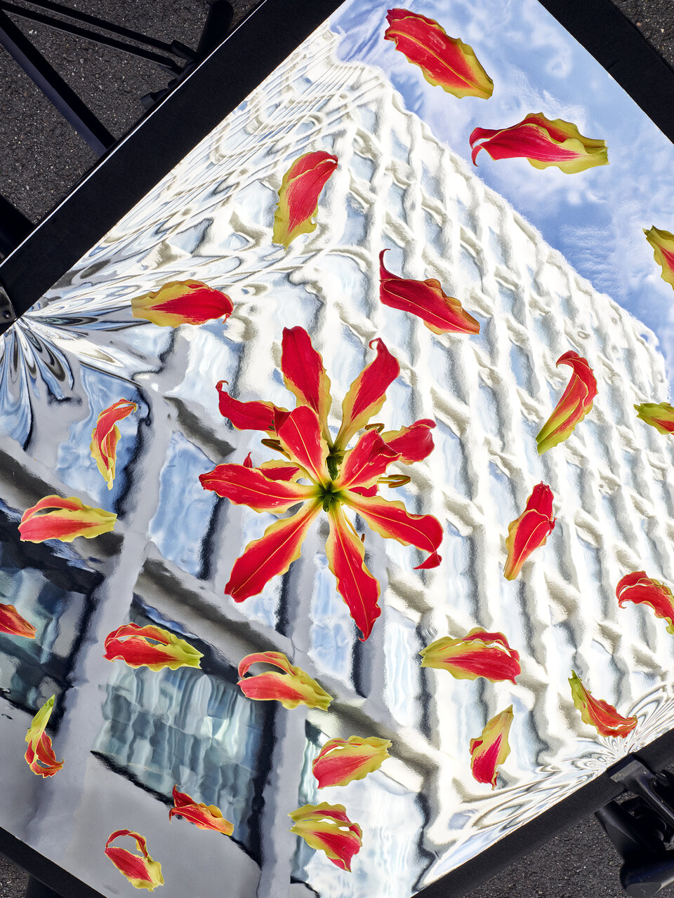 Das Bild zeigt die Fassade eines modernen Gebäudes, die sich in einer silbernen Folie spiegelt. Auf der Folie befinden sich Pflanzenteile