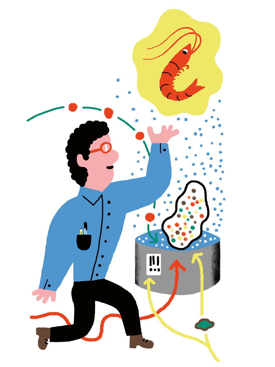 Illustration Lucky Shrimp