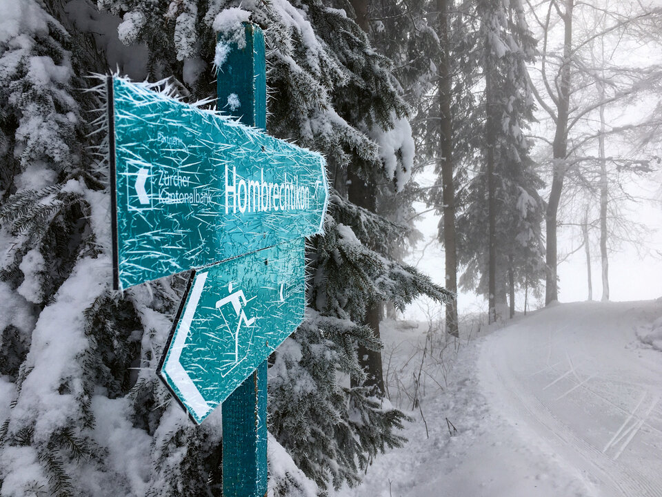 Foto eines Wegweisers an der Langlaufloipe Guldenen. 