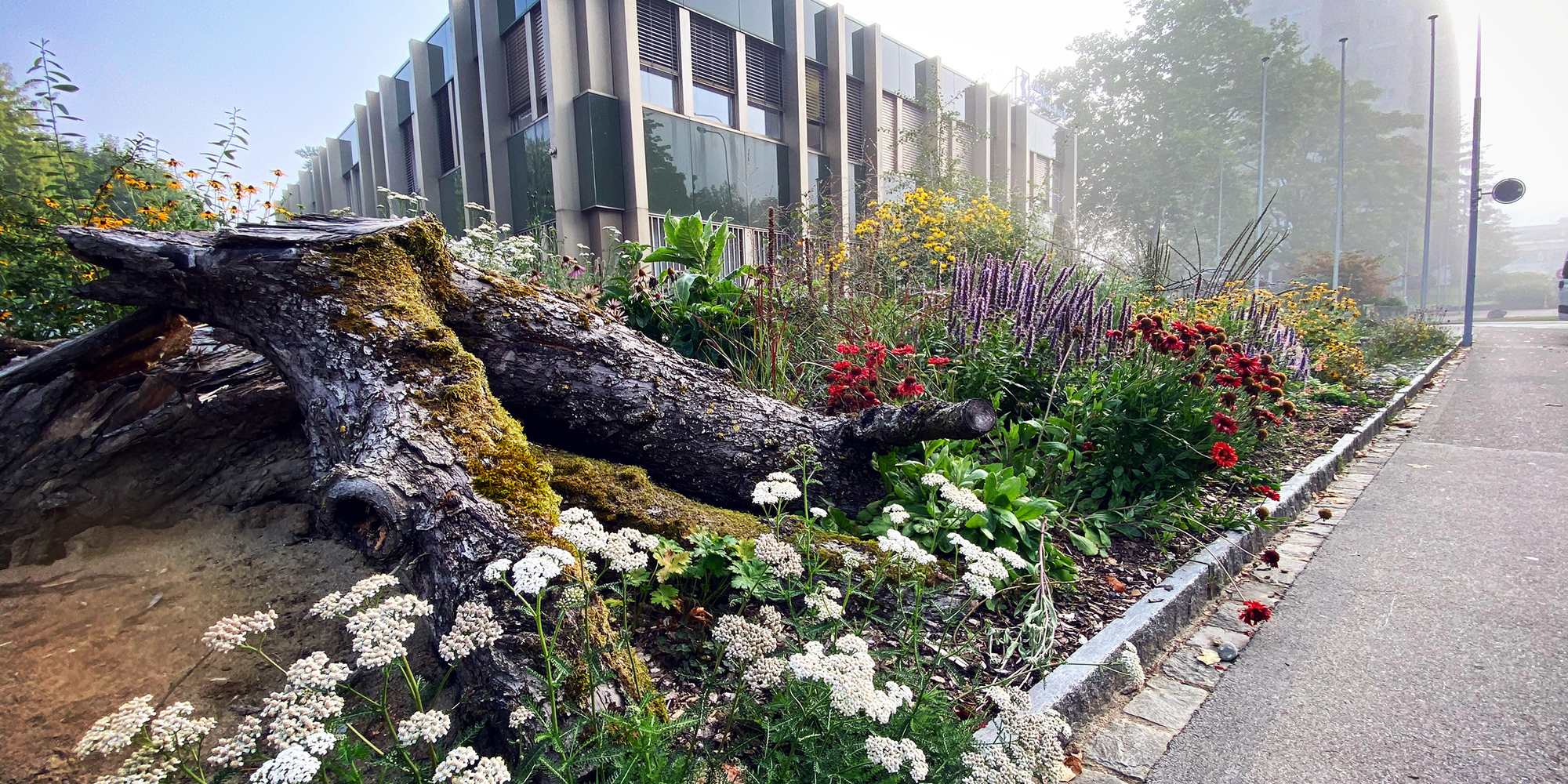 Biodiversität in Regensdorf